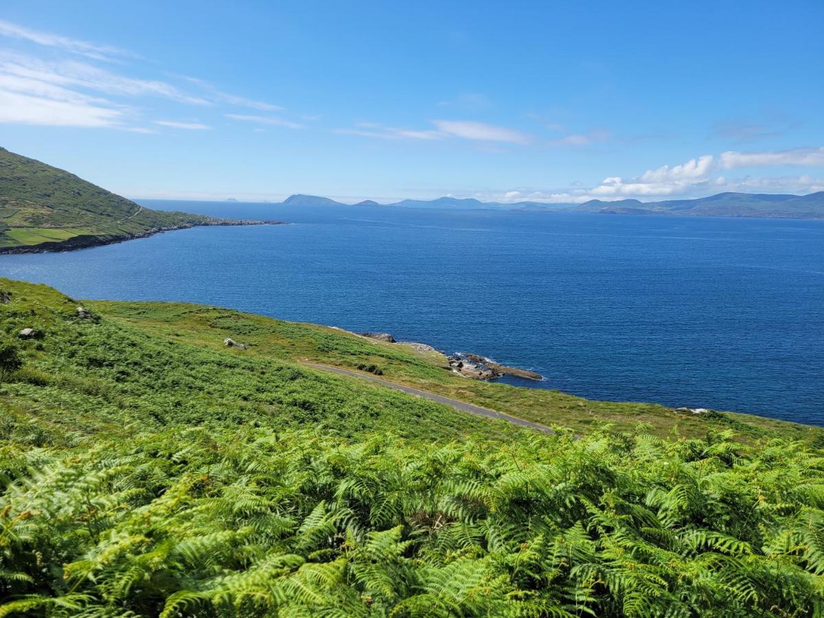 Anam Sona Seaview B&B Caherkeen Dış mekan fotoğraf